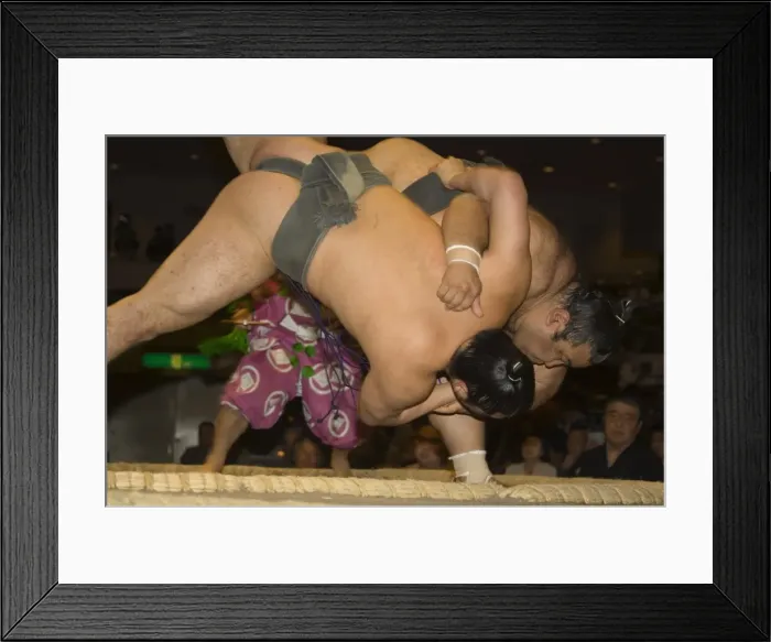 Framed Print : Sumo wrestlers competing Framed Print : Sumo wrestlers competing