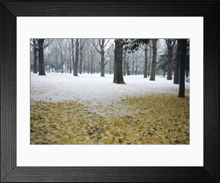 Framed Print : Winter scene Framed Print : Winter scene