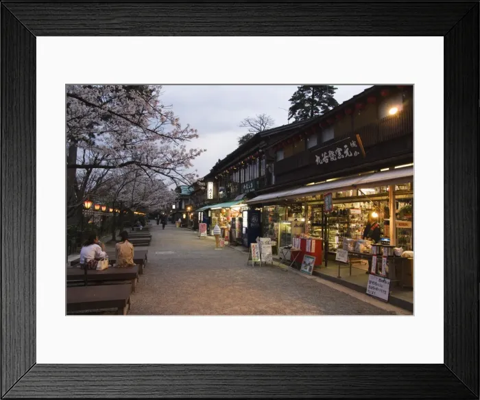 Framed Print : Spring cherry blossom at Kanazawa Castle Framed Print : Spring cherry blossom at Kanazawa Castle