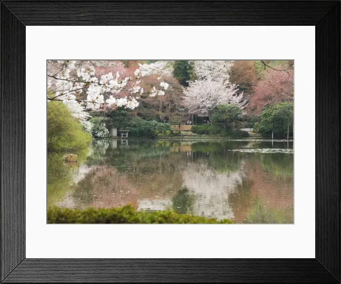 Framed Print : Garden of Ryoanji Temple Framed Print : Garden of Ryoanji Temple