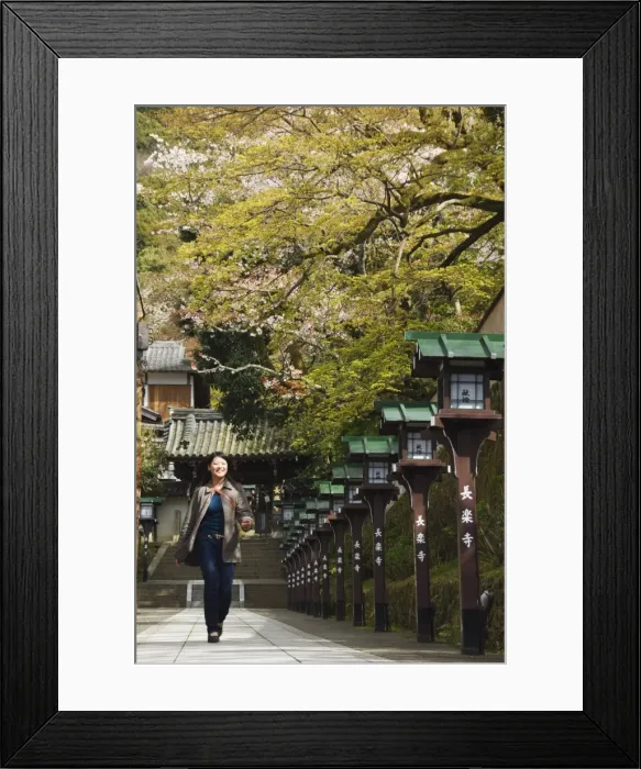 Framed Print : A girl looking at cherry blossom at Chionin Temple Framed Print : A girl looking at cherry blossom at Chionin Temple