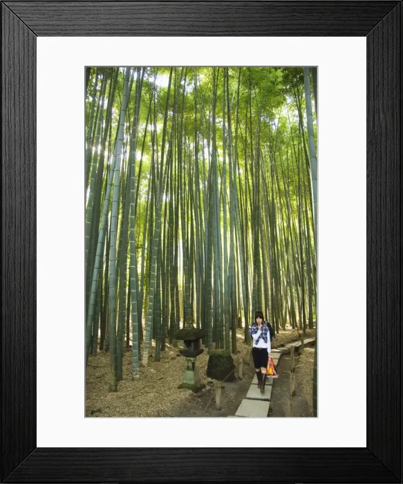 Framed Print : Bamboo Forest at Hokoku-ji Temple Framed Print : Bamboo Forest at Hokoku-ji Temple