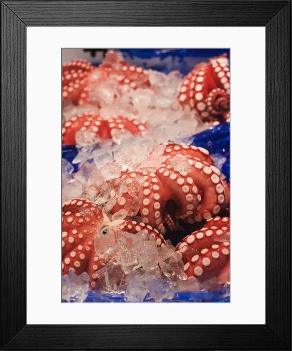 Framed Print : Octopus at Tsukiji fish market, Tokyo, Honshu Island, Japan, Asia Framed Print : Octopus at Tsukiji fish market, Tokyo, Honshu Island, Japan, Asia