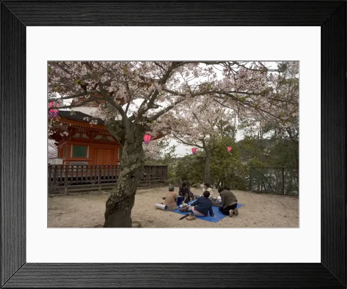 Framed Print : Pagoda at Itsukushima jinja shrine Framed Print : Pagoda at Itsukushima jinja shrine