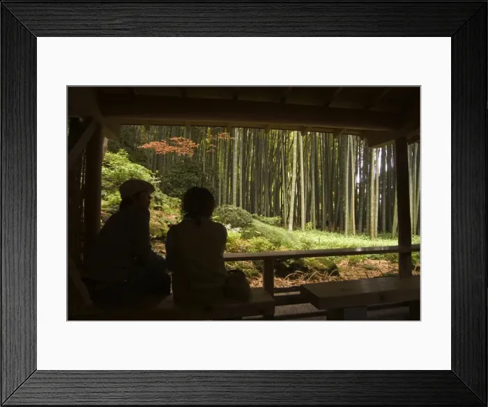 Framed Print : Couple looking out to bamboo forest from tea ceremony room Framed Print : Couple looking out to bamboo forest from tea ceremony room