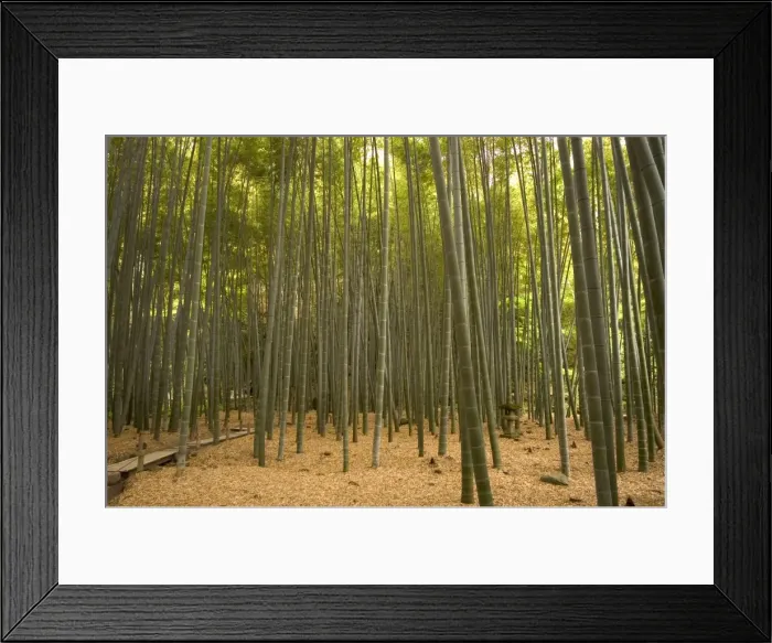 Framed Print : Stone lantern Framed Print : Stone lantern