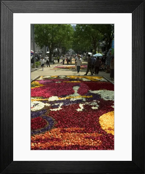 Framed Print : Flower festival Framed Print : Flower festival