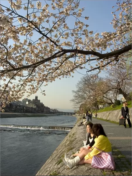 Girls sitting on banks of Kamogawa river watching cherry blossoms