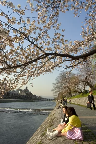 Girls sitting on banks of Kamogawa river watching cherry blossoms