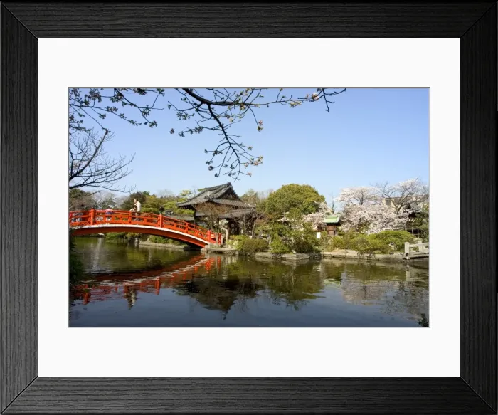 Framed Print : Kyoto city Framed Print : Kyoto city