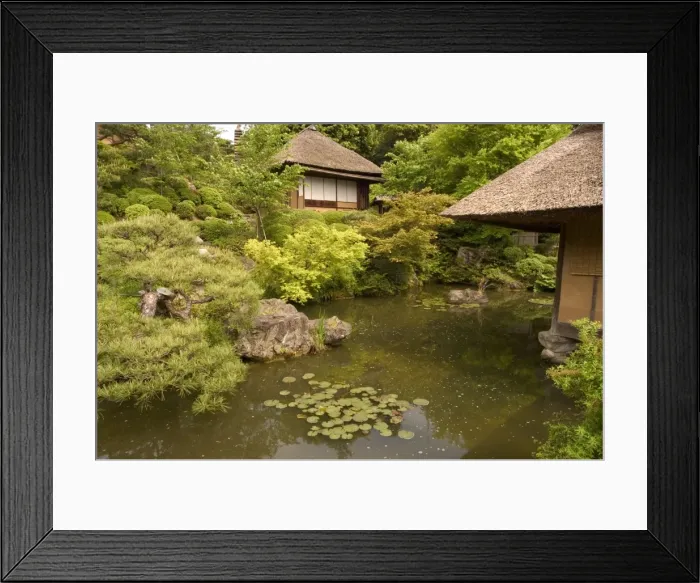 Framed Print : Traditional garden Framed Print : Traditional garden
