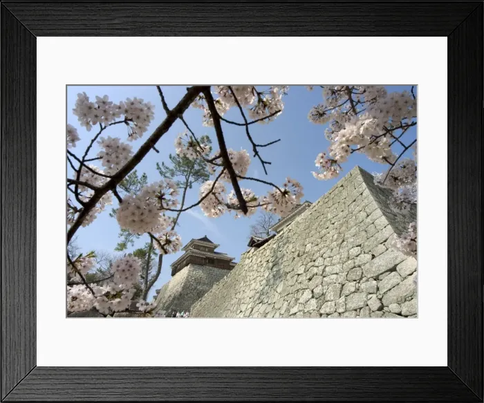 Framed Print : Matsuyama castle Framed Print : Matsuyama castle