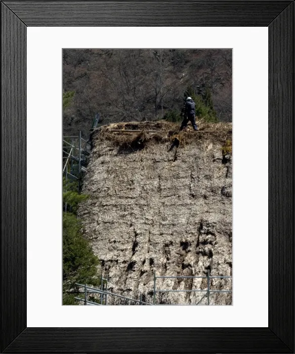 Framed Print : Man thatching house Framed Print : Man thatching house