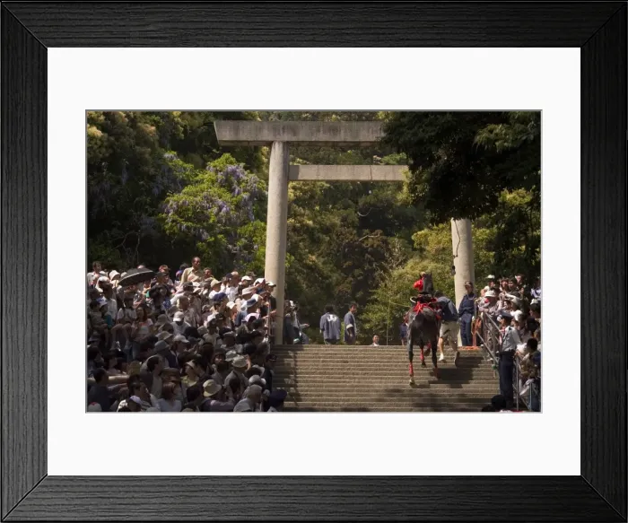 Framed Print : Horse jumping festival Framed Print : Horse jumping festival