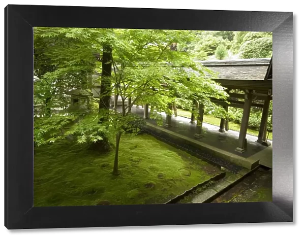 Ryoanji temple moss garden
