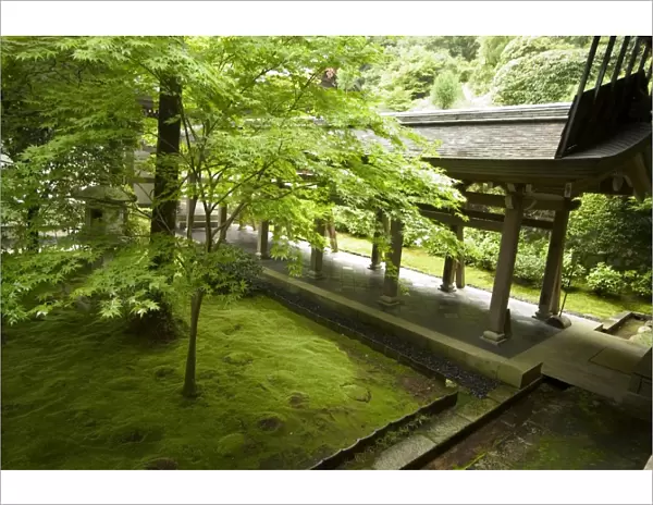 Ryoanji temple moss garden