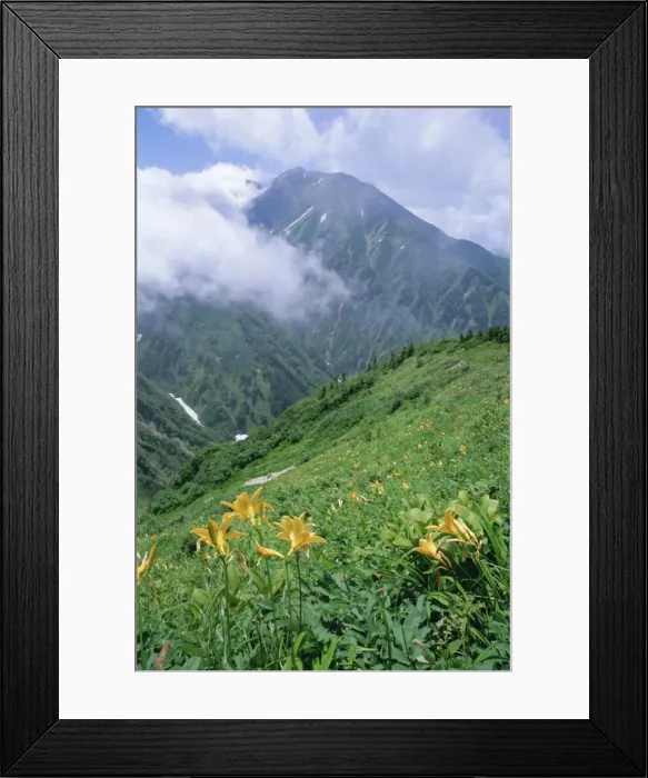 Framed Print : The Tateyama-Kurobe Alpine Route Framed Print : The Tateyama-Kurobe Alpine Route