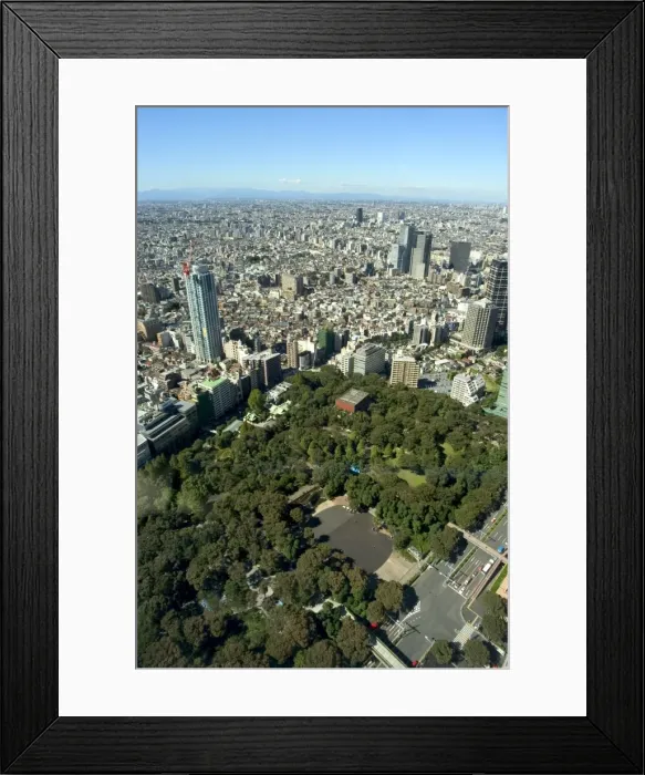 Framed Print : Shinjuku, city skyline Framed Print : Shinjuku, city skyline
