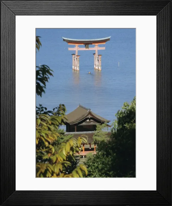 Framed Print : Tori on Miyajima Island Framed Print : Tori on Miyajima Island