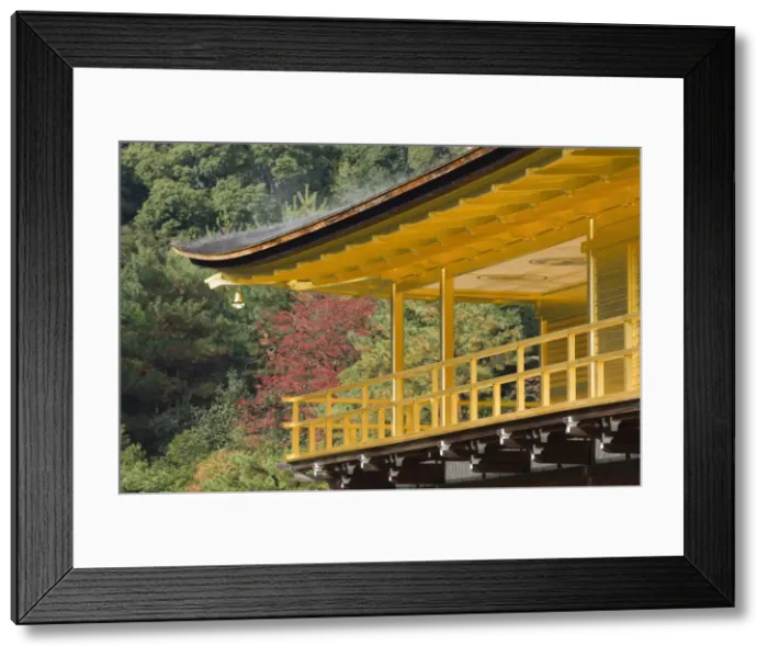 Framed Print : Kinkakuji Temple (Golden Pavilion) Framed Print : Kinkakuji Temple (Golden Pavilion)