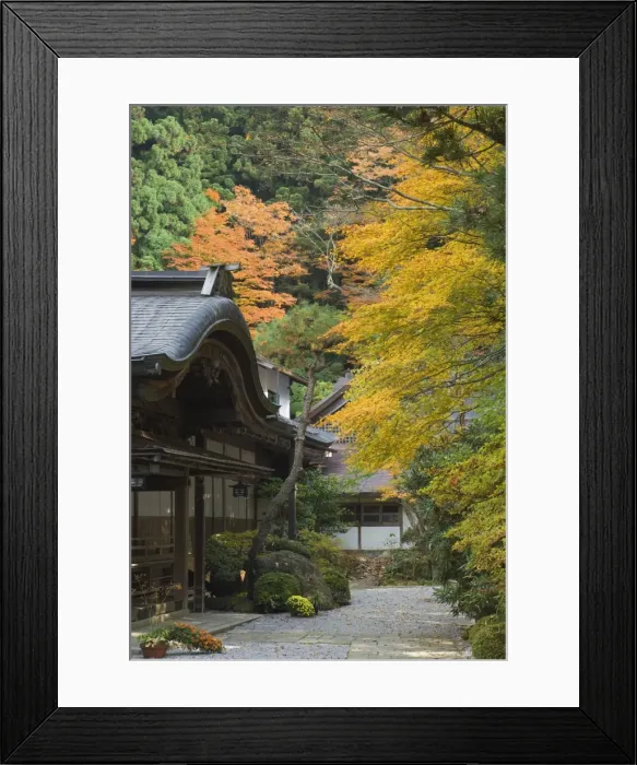 Framed Print : Buddhist temple Framed Print : Buddhist temple