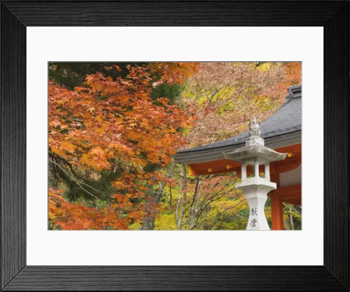 Framed Print : Eireiden Temple Framed Print : Eireiden Temple