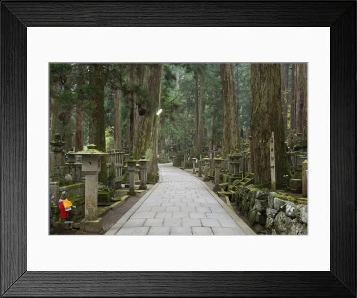 Framed Print : Entrance Path (Sando)