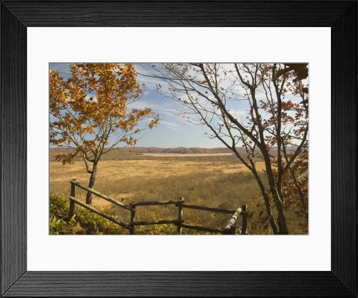 Framed Print : Wetlands, Kushiro Shitsugen National Park Framed Print : Wetlands, Kushiro Shitsugen National Park