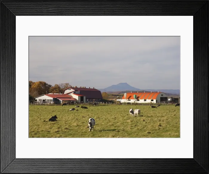 Framed Print : Farm, Hokkaido Framed Print : Farm, Hokkaido