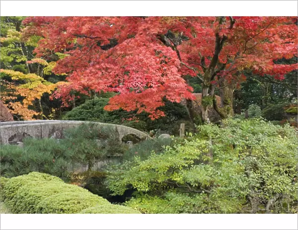 Shojo-en Zen Garden