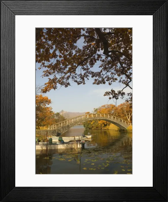 Framed Print : Lake Onuma and Mount Komaga-dake