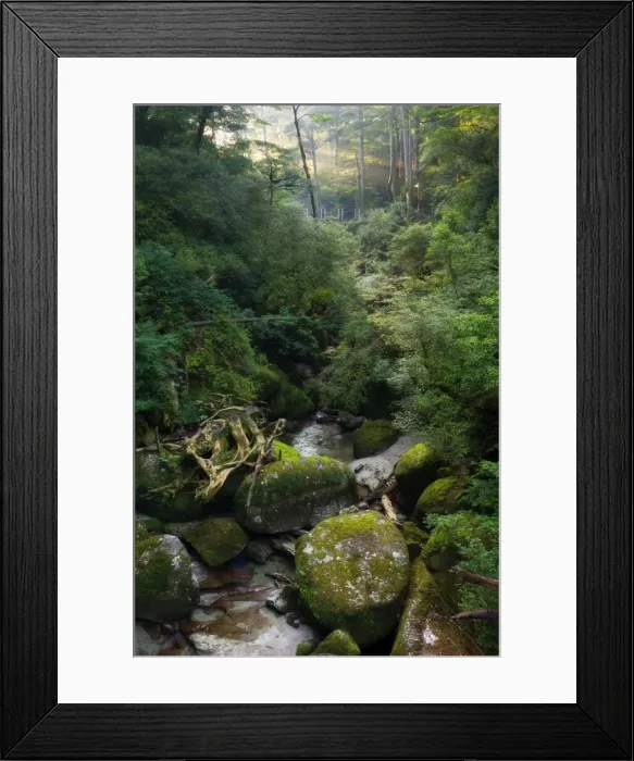 Framed Print : Arakawa River Framed Print : Arakawa River