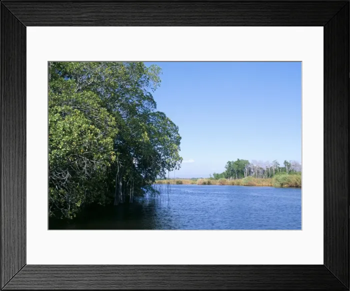 Framed Print : Black River, St Framed Print : Black River, St
