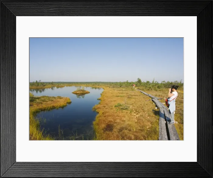Framed Print : Tourists on boardwalk trail through protected land