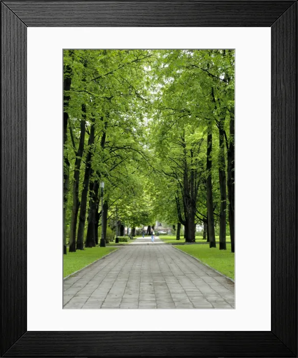 Framed Print : Esplanade, green park near the Russian Orthodox Cathedral Framed Print : Esplanade, green park near the Russian Orthodox Cathedral