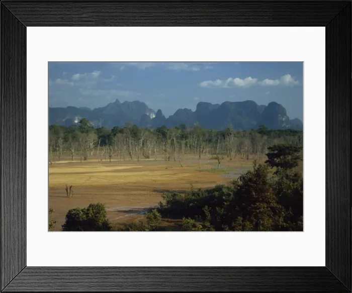 Framed Print : Encroaching forest in limestone basin Framed Print : Encroaching forest in limestone basin