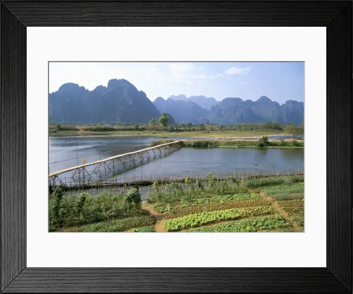 Framed Print : Bamboo bridge Framed Print : Bamboo bridge