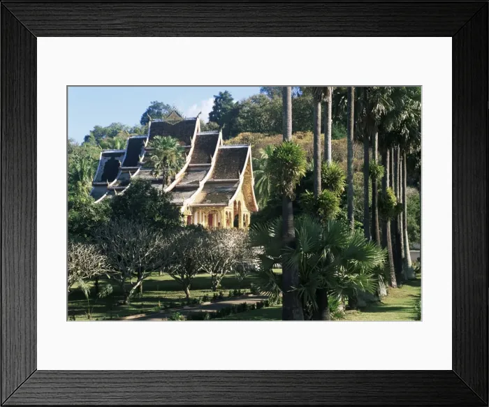 Framed Print : Wat Mai Suwannaphumaham and trees