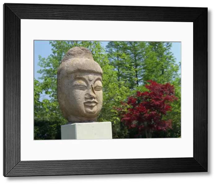 Framed Print : Head of the Buddha in the National Museum in Kyongju Framed Print : Head of the Buddha in the National Museum in Kyongju