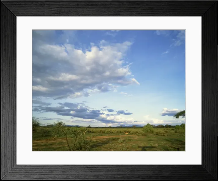 Framed Print : Samburu National Reserve Framed Print : Samburu National Reserve
