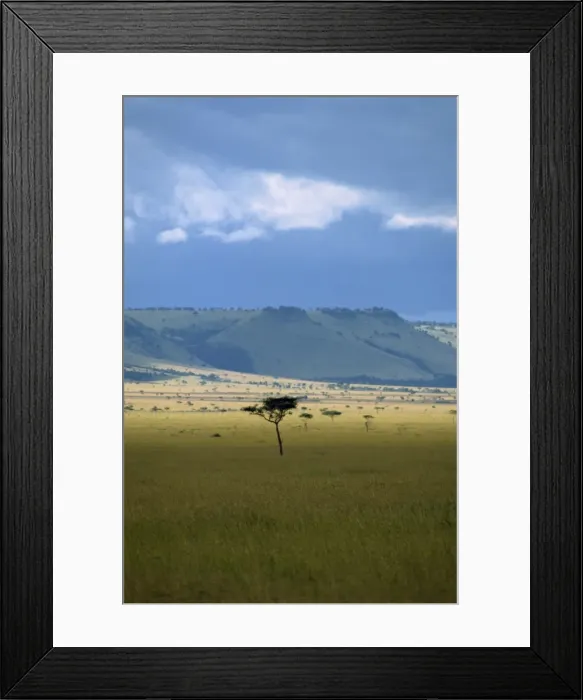 Framed Print : Masai Mara National Reserve Framed Print : Masai Mara National Reserve