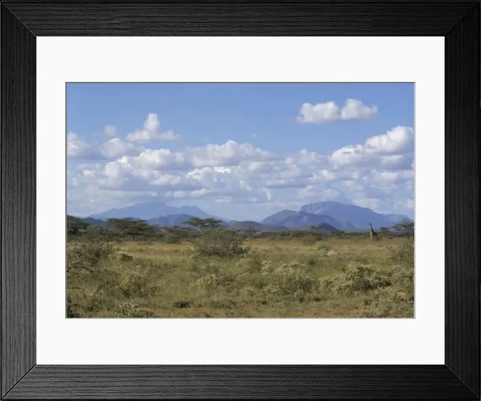 Framed Print : Looking north in Samburu bush country Framed Print : Looking north in Samburu bush country