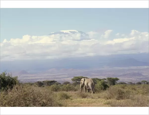 Amboseli Game Reserve and Mount Kilimanjaro