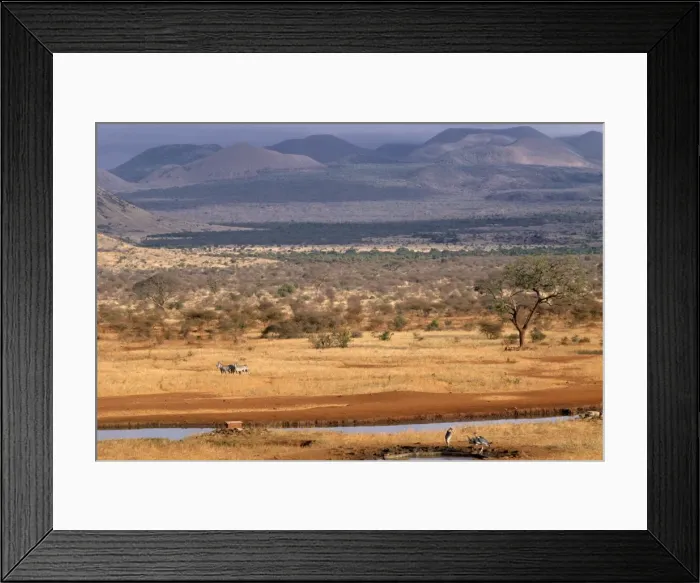 Framed Print : Tsavo National Park Framed Print : Tsavo National Park