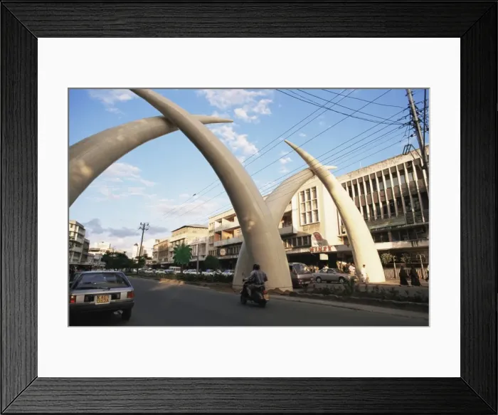 Framed Print : Tusks, Moi Avenue Framed Print : Tusks, Moi Avenue