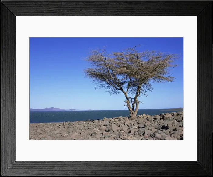Framed Print : Lake Turkana Framed Print : Lake Turkana