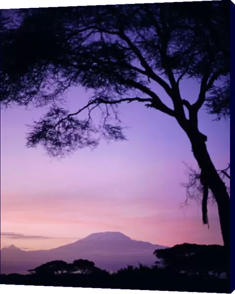 Sunrise, Mount Kilimanjaro