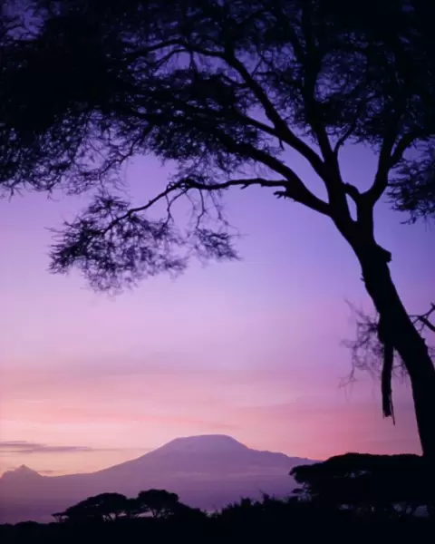 Sunrise, Mount Kilimanjaro