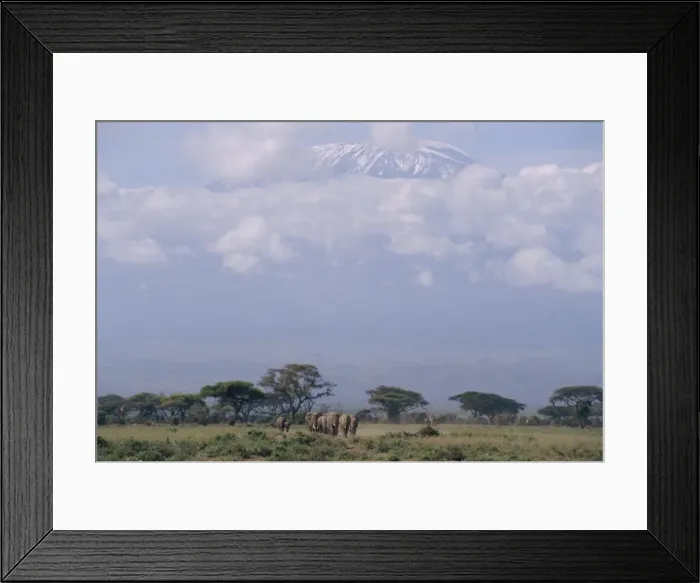 Framed Print : Amboseli National Park and Mt Framed Print : Amboseli National Park and Mt