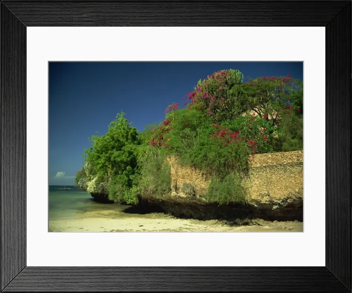 Framed Print : Bougainvillea along wall next to sea Framed Print : Bougainvillea along wall next to sea